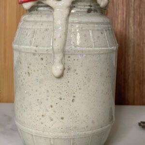 Gedroogde starter Dina