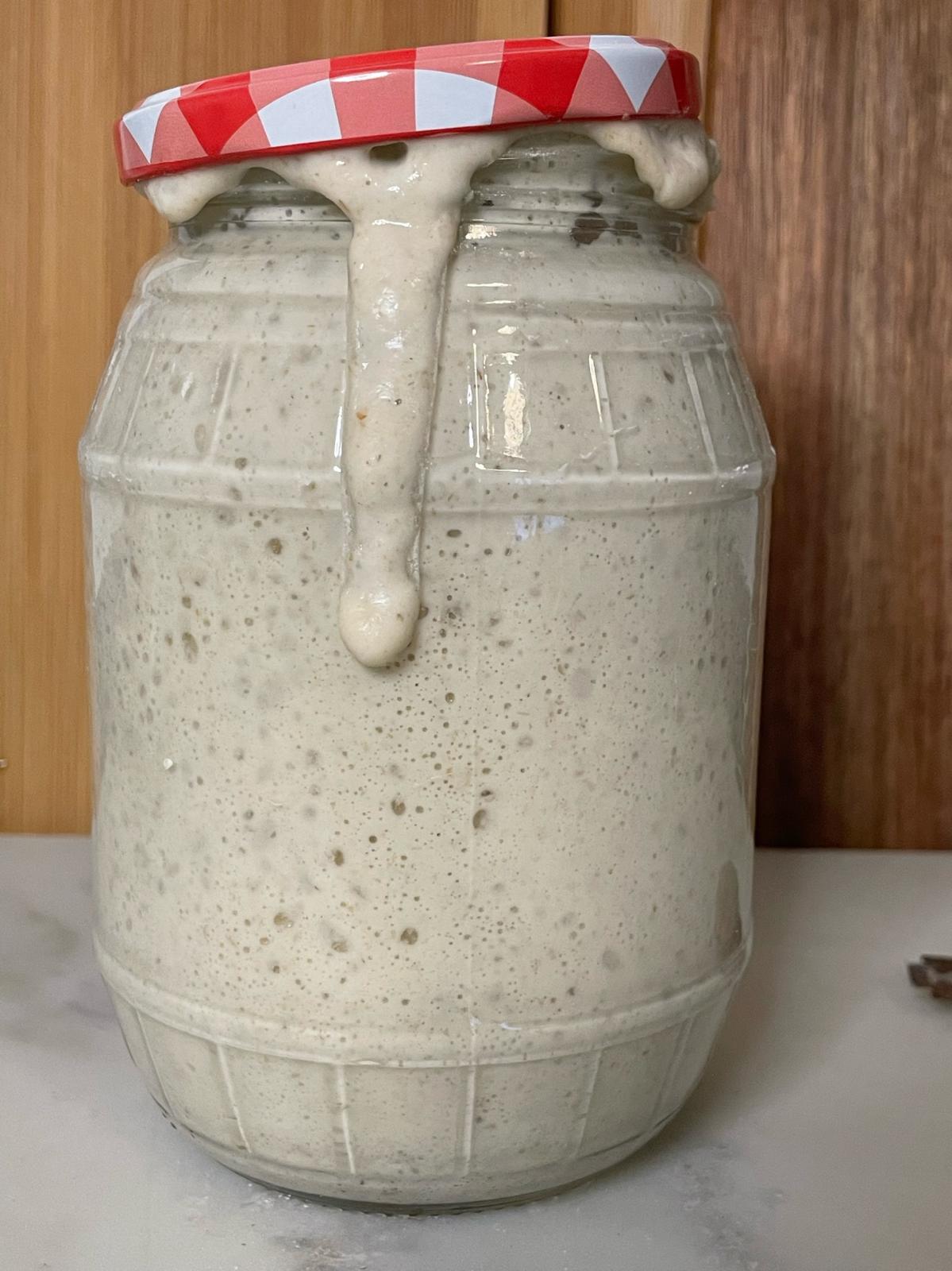 Gedroogde starter Dina - Afbeelding 2